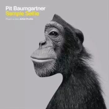 Виниловая пластинка Pit Baumgartner - Sample Selfie