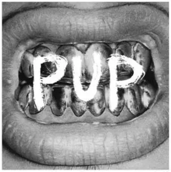 Виниловая пластинка Pup - Pup