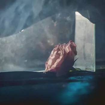 Виниловая пластинка Ranaldo Lee - In Virus Times