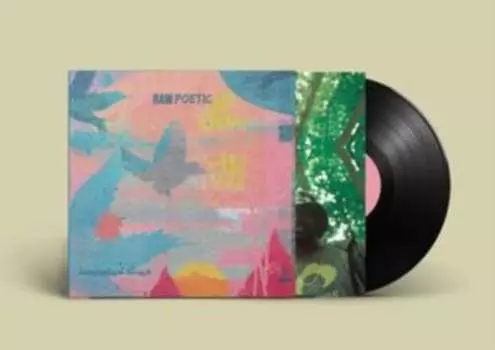 Виниловая пластинка Raw Poetic & Damu The Fudgemunk - Laminated Skies