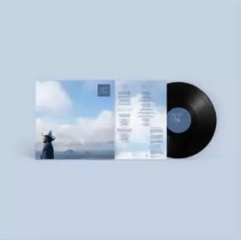 Виниловая пластинка RE:WARM - Idiot Check