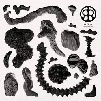 Виниловая пластинка Rejoicer - Spiritual Sleaze