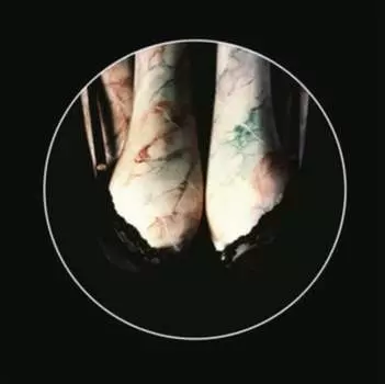 Виниловая пластинка Renaldo & The Loaf - The Elbow Is Taboo/Elbonus