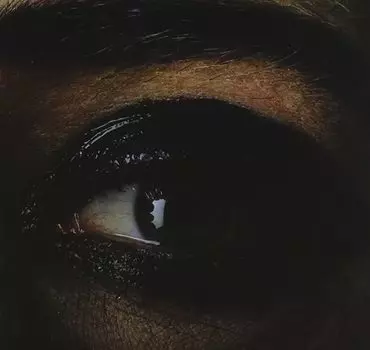 Виниловая пластинка Rufus Wainwright - All Days Are Nights