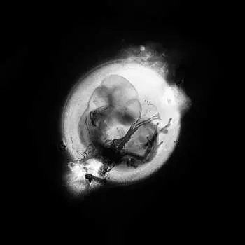 Виниловая пластинка Saffronkeira - Saffronkeira