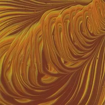 Виниловая пластинка Sammal - Aika Laulaa