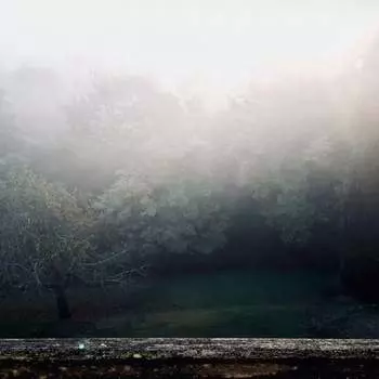 Виниловая пластинка Schlochtermeier Robin - Spectral