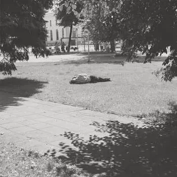 Виниловая пластинка Self Defense Family - Heaven Is Earth