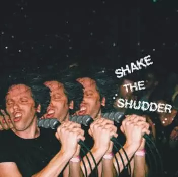 Виниловая пластинка !!! - Shake The Shudder