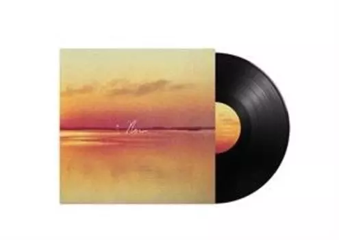 Виниловая пластинка Shauf Andy - Norm