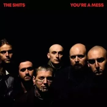 Виниловая пластинка Shits - You're a Mess