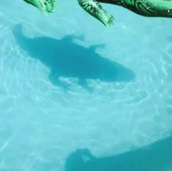 Виниловая пластинка Shopping - The Official Body