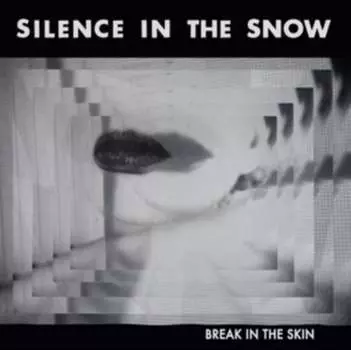 Виниловая пластинка Silence In The Snow - Break in the Skin