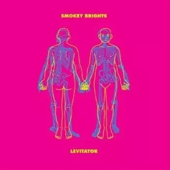 Виниловая пластинка Smokey Brights - Levitator