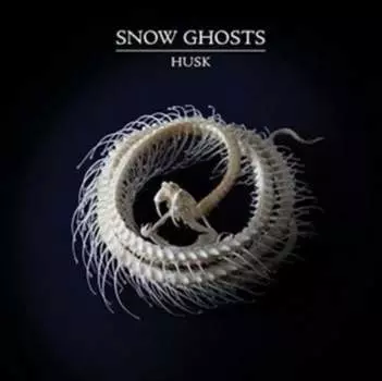 Виниловая пластинка Snow Ghosts - Husk