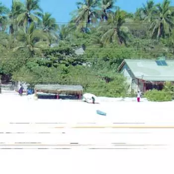 Виниловая пластинка sora - Re.Sort