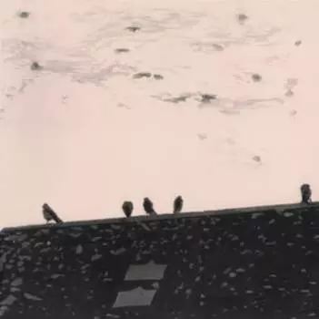 Виниловая пластинка Staples Stuart A. - Arrhythmia