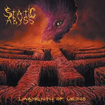 Виниловая пластинка Static Abyss - Labyrinth Of Veins