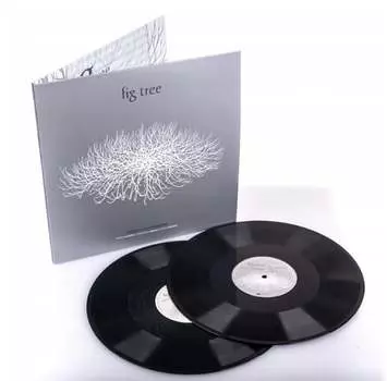 Виниловая пластинка Strczek Przemysaw - Fig Tree