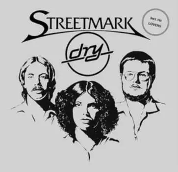 Виниловая пластинка Streetmark - Dry
