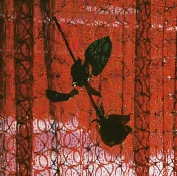 Виниловая пластинка Studio Mule - Visible Cloaks Remix