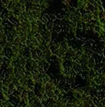 Виниловая пластинка Swamp Harbour - Swamp Harbour