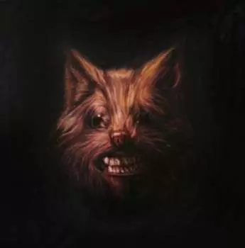 Виниловая пластинка Swans - The Seer