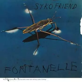Виниловая пластинка Syko Friend - Fontanelle