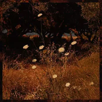 Виниловая пластинка Szun Waves - Earth Patterns