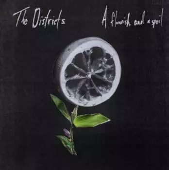 Виниловая пластинка The Districts - A Flourish And A Spoil