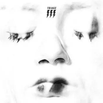 Виниловая пластинка The Gentlemens - Triage