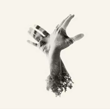 Виниловая пластинка The Last Dinosaur - The Nothing