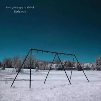 Виниловая пластинка The Pineapple Thief - Little Man