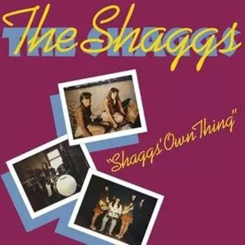 Виниловая пластинка The Shaggs - Shaggs' Own Thing