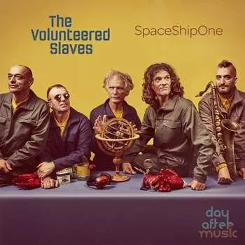 Виниловая пластинка The Volunteered Slaves - Spaceshipone