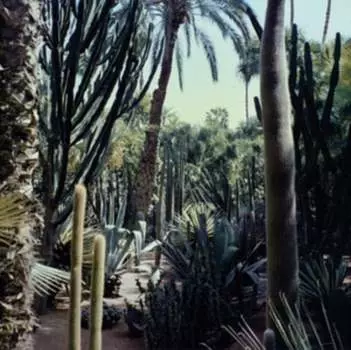 Виниловая пластинка Three Body - Three Body