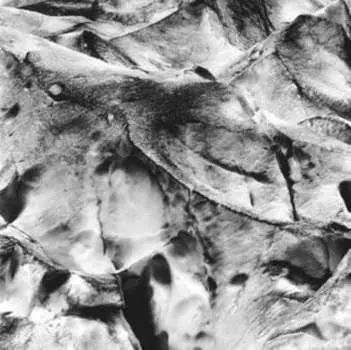 Виниловая пластинка Tietchens Asmus - Neues Boot