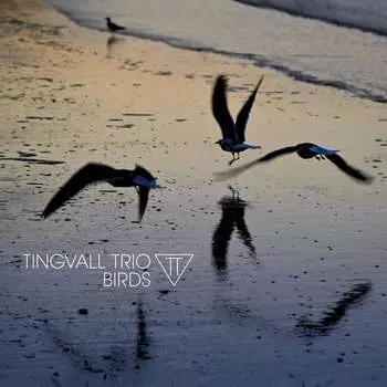 Виниловая пластинка Tingvall Trio - Birds