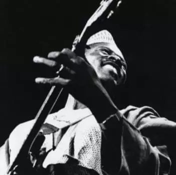 Виниловая пластинка Toure Ali Farka - The Source