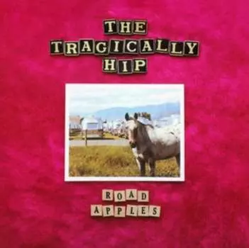 Виниловая пластинка Tragically Hip - Road Apples