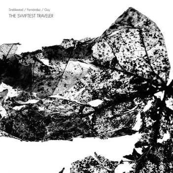 Виниловая пластинка Trost Records - The Swiftest Traveler