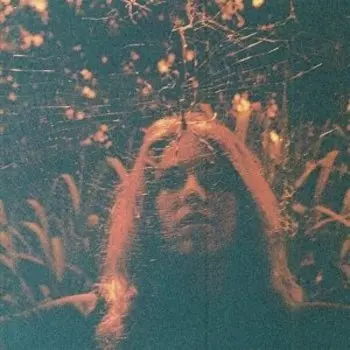 Виниловая пластинка Turnover - Peripheral Vision