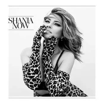 Виниловая пластинка Twain Shania - Now