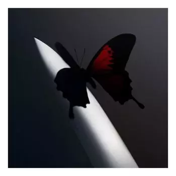 Виниловая пластинка Twelve Carat Toothache | Post Malone