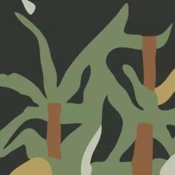 Виниловая пластинка Valet - Nature