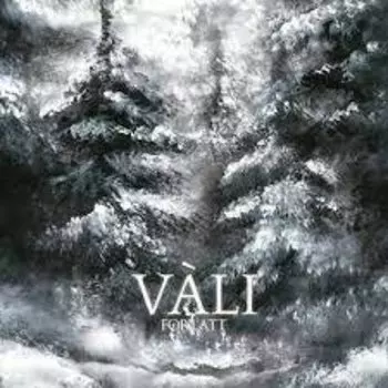 Виниловая пластинка Vali - Forlatt