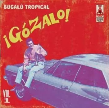 Виниловая пластинка Various Artists - Bugal Tropical: IGzalo!
