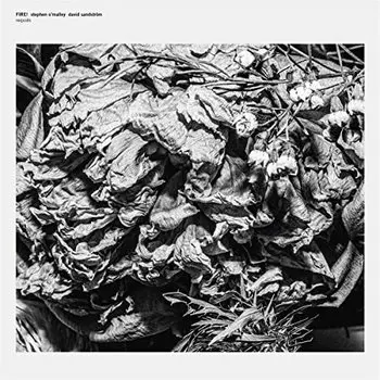 Виниловая пластинка Various Artists - Requires