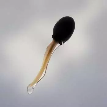 Виниловая пластинка Vendredi Sur Mer - Comment Tu Vas Finir