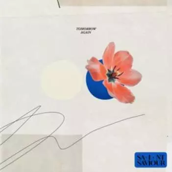 Виниловая пластинка VLFR Records - Tomorrow Again